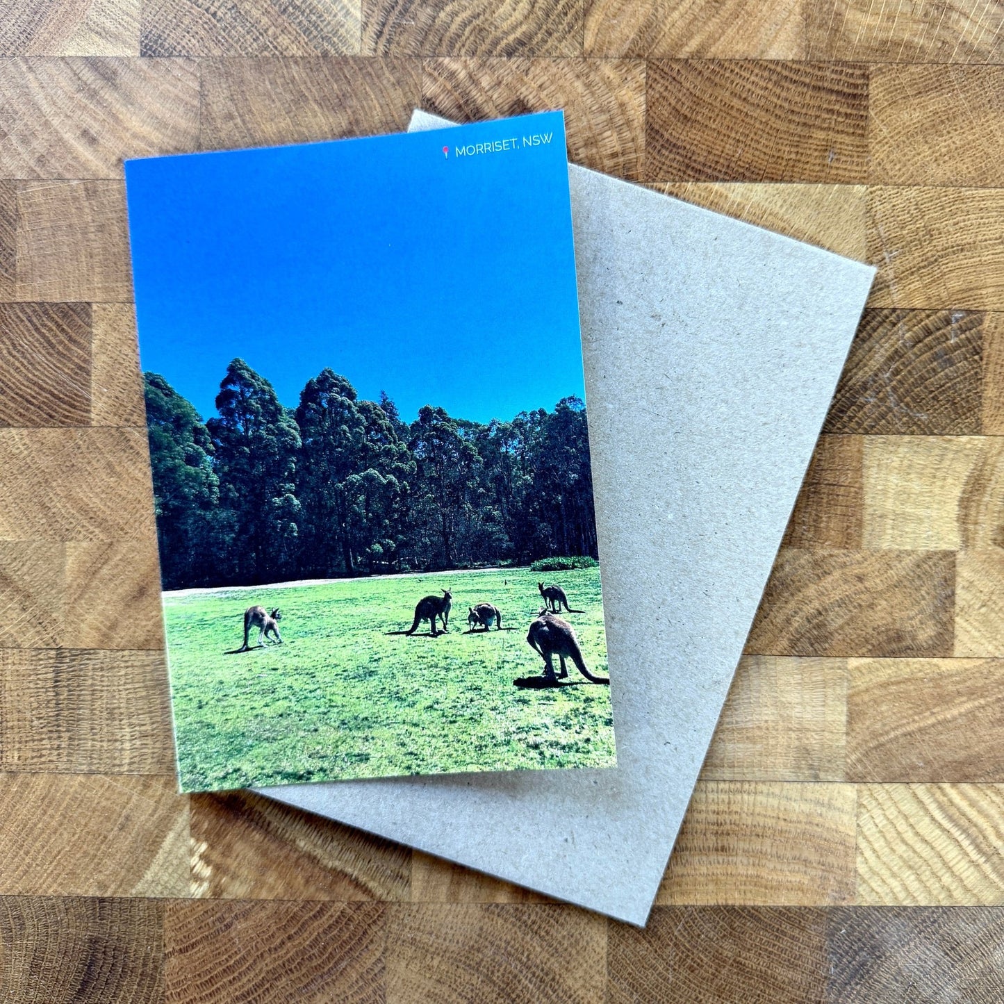 Greeting Card: Wild Kangaroos at Morisset - Clare Makes -