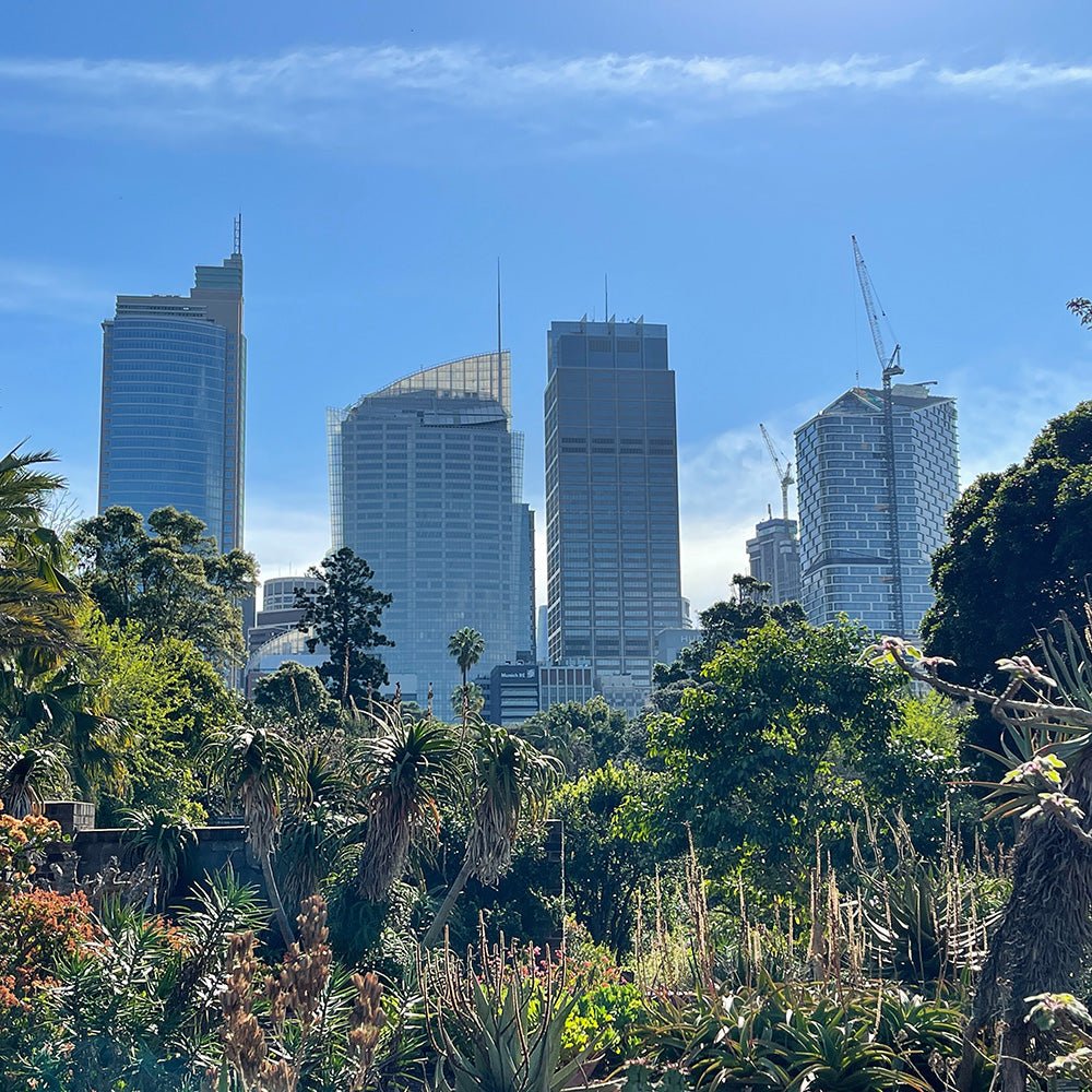 Australian Botanic Gardens - A Trove of Native Plants, Herbs and Flowers - Clare Makes